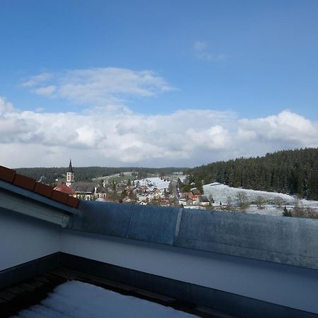 Ferienwohnung Auszeit Schönwalde Екстериор снимка